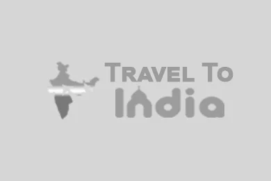 Grand India Tours