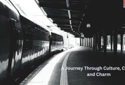 a journey through culture chaos, and charm