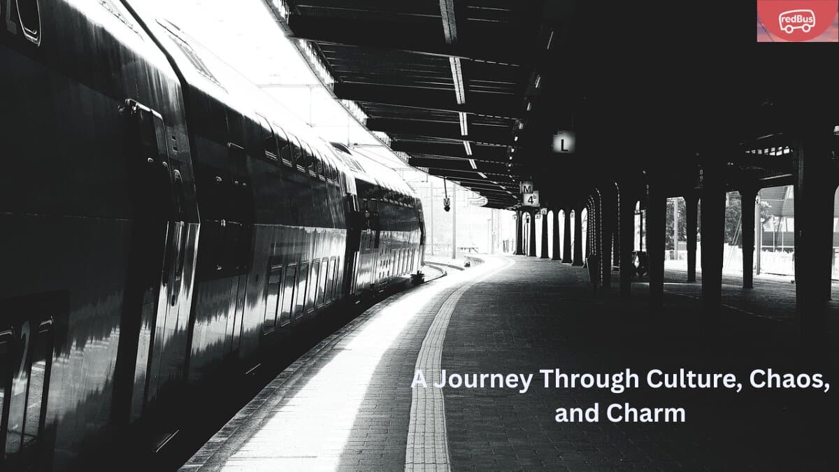 a journey through culture chaos, and charm