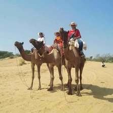 Camel Safari Camel Safari