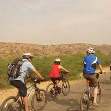 Cycling Cycling