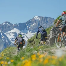 Cycling Cycling