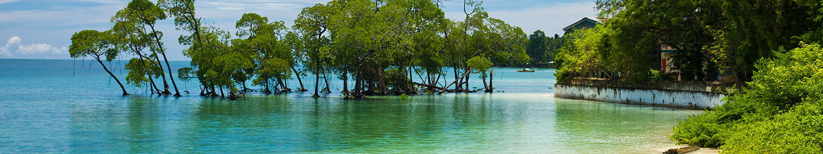 Andaman Tour Packages