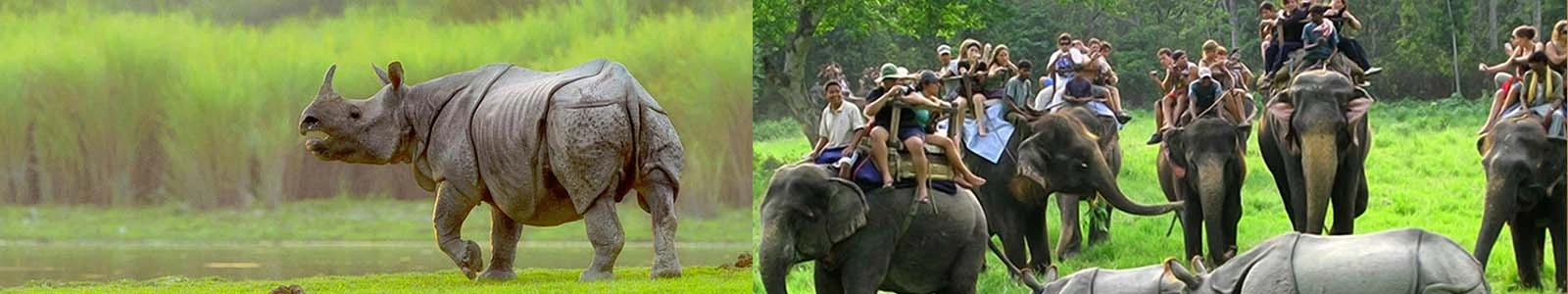 Nagaland and Kaziranga National Park Tour