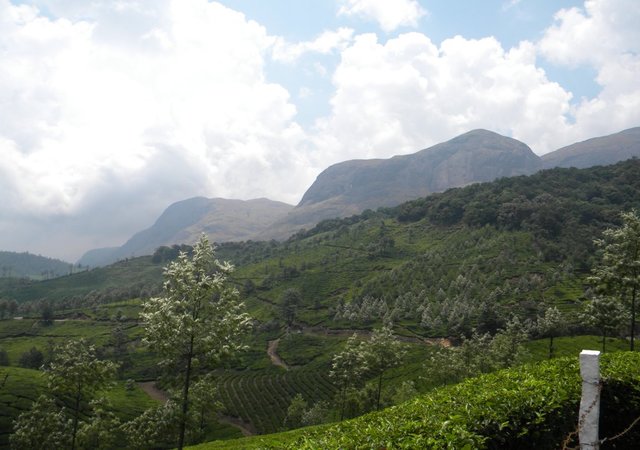 travel to india