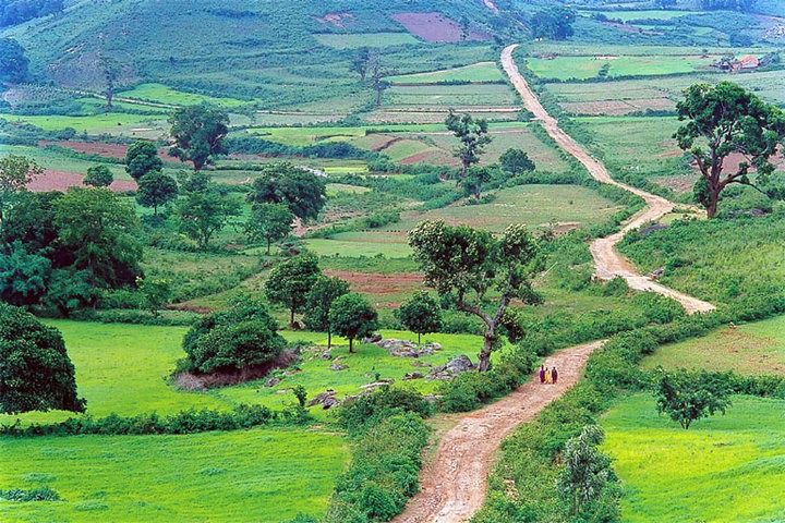 travel to india