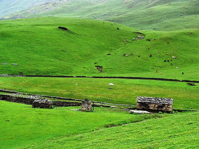 travel to india