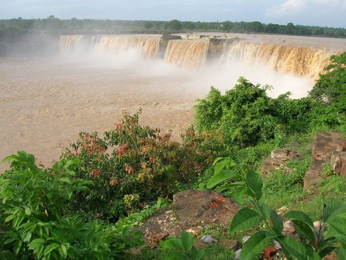 travel to india