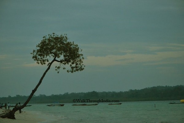 travel to india