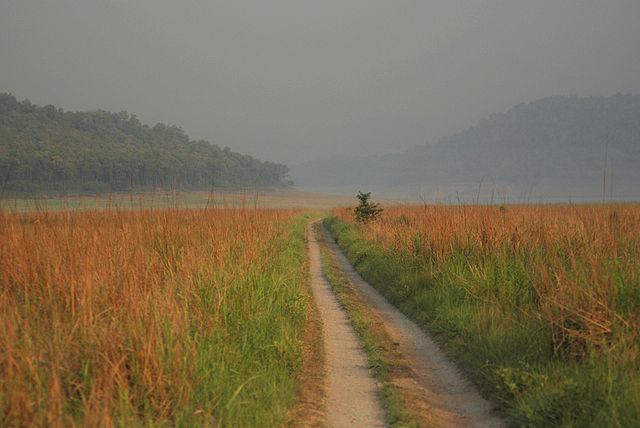 travel to india