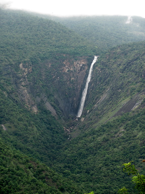travel to india