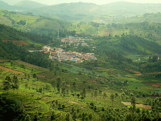 Nilgiri Hills Nilgiri Hills