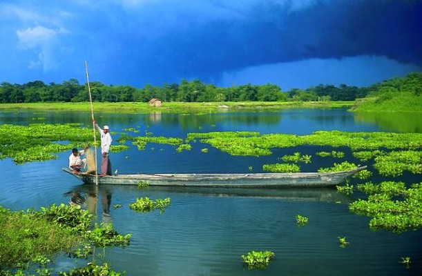 Majuli Majuli