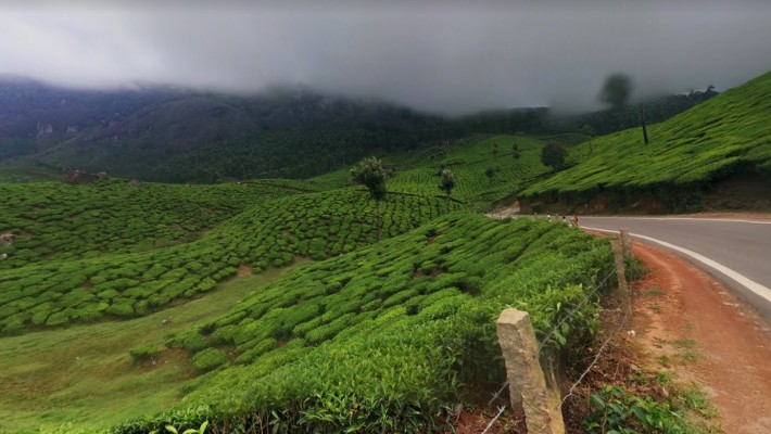 Munnar Kerala Munnar