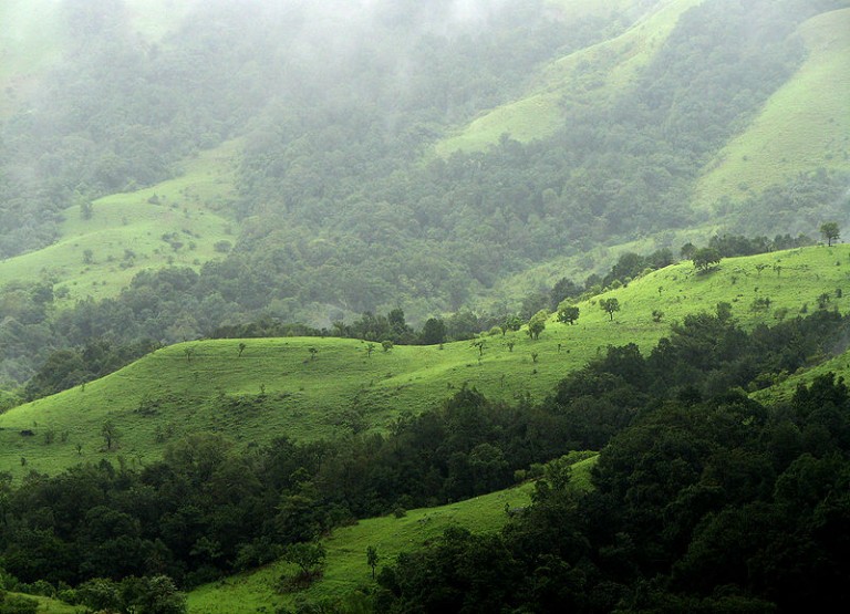 Kudremukh Grassland Kudremukh Grassland