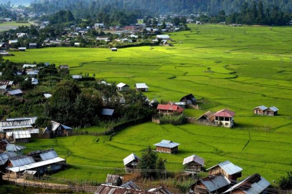 travel to india