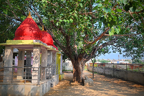 Complete Braj Tour Package Complete Braj Tour Package