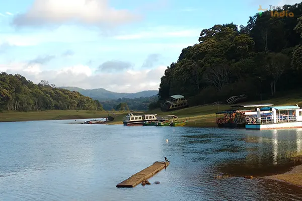 Kochi to Thekkady Kochi to Thekkady