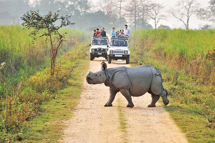 tour to meghalaya