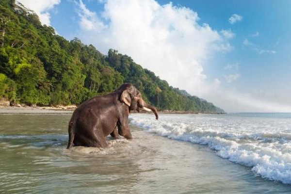 Andaman Solo Tour in India