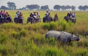 kaziranga tour packages assam