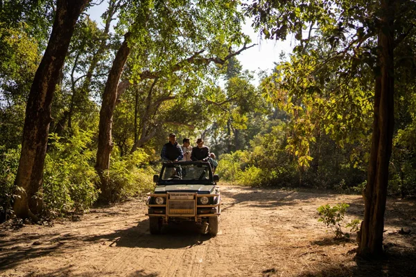 Haridwar to Jim Corbett Taxi Haridwar to Jim Corbett Taxi