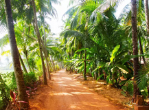 solo tour in kerala and kanyakumar