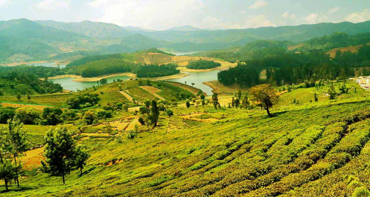 Best Solo Tour Mysore Ooty Packages
