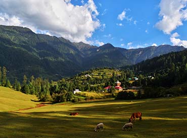 Best Himachal Tour Packages