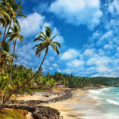 Beach Tours