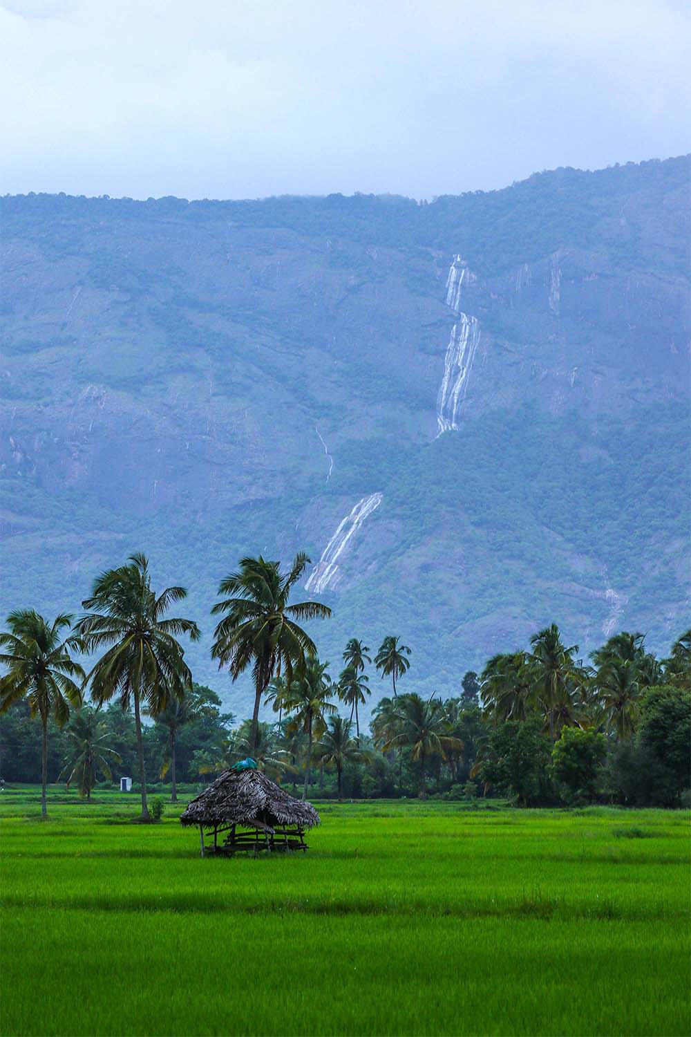 Charismatic Kerala Tour