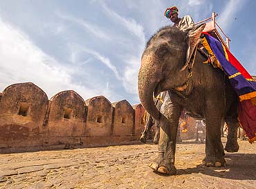 Top Rajasthan Tour Packages