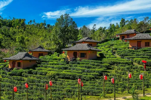Chandigarh to Kasauli