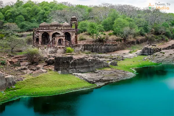Jaipur to Ranthambore Tempo Traveller