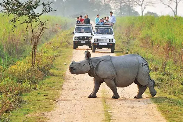 Nagaland and Kaziranga