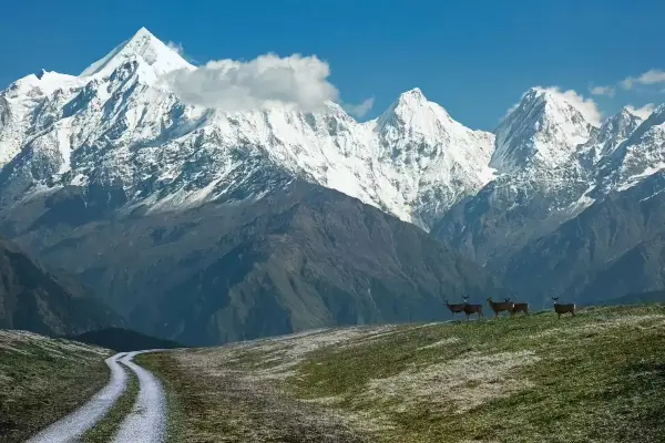 Uttarakhand