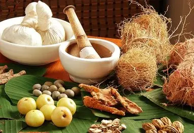 India: Ayurveda Tourism