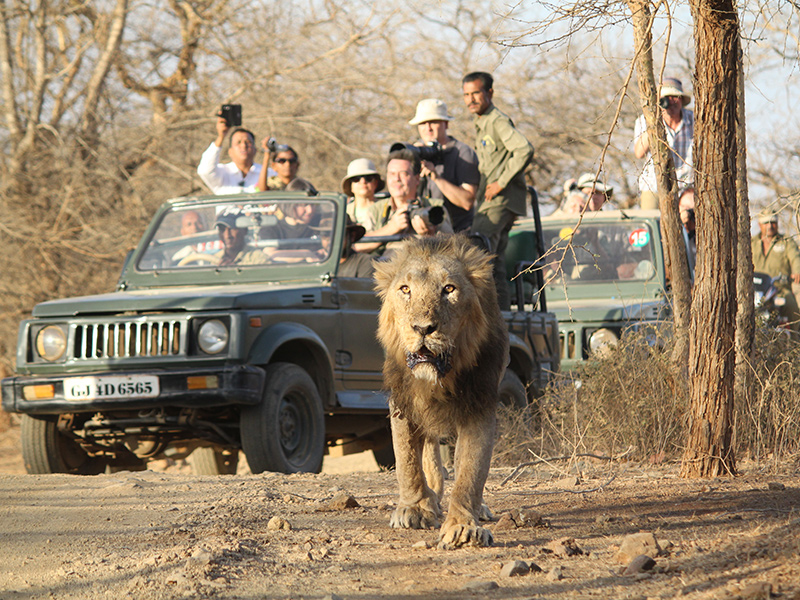 Kutch with Sasangir Tour Package