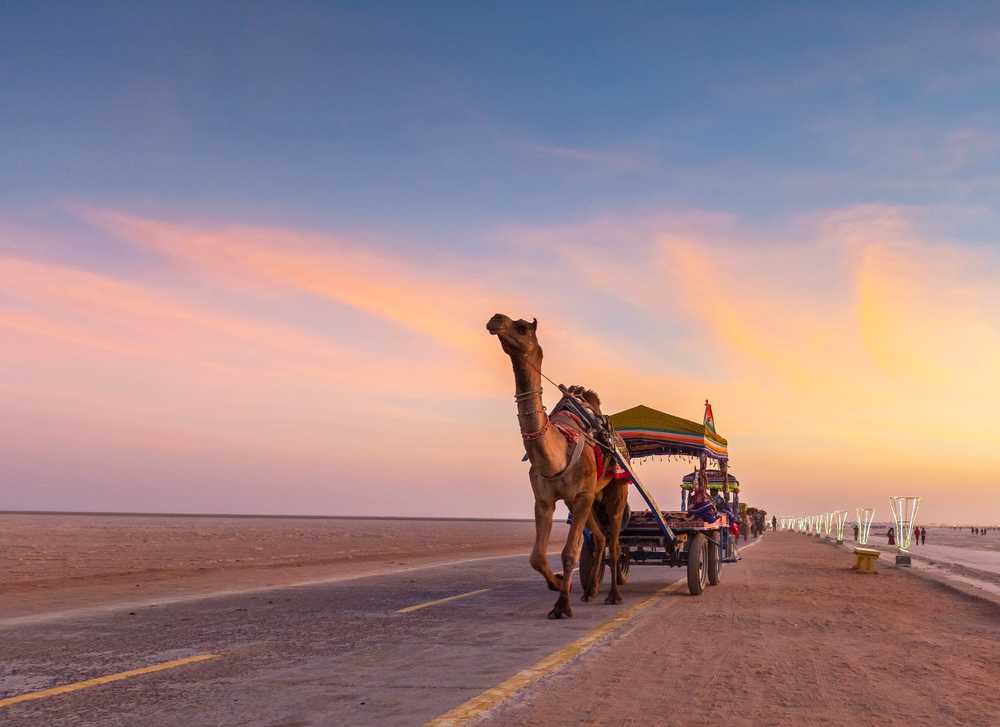 Best of Sizzling Kutch Tour Best of Sizzling Kutch Tour